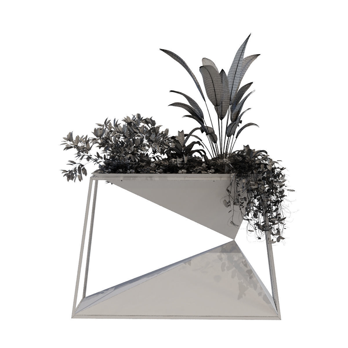 plant in box set 091 Low-poly 3D model_8