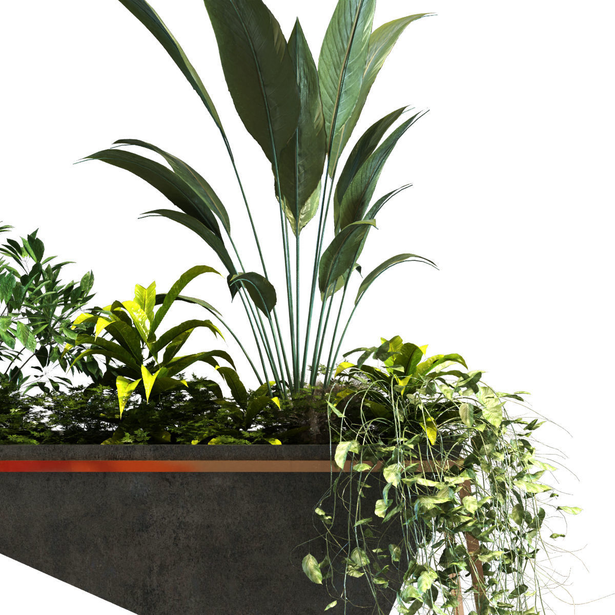 plant in box set 091 Low-poly 3D model_7