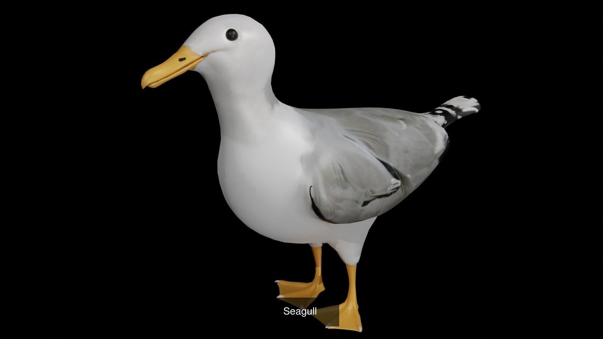 Seagull idle stand and flight 3d model collection _1