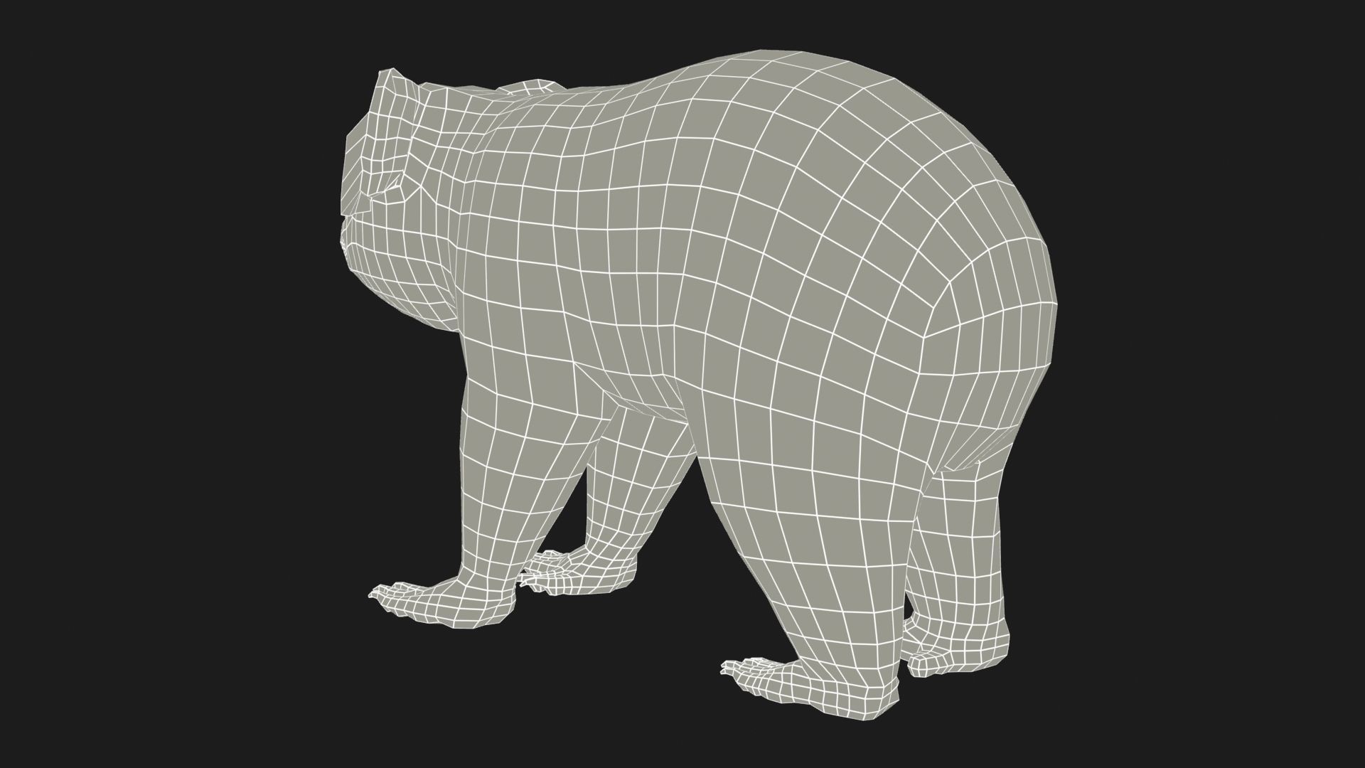 Koala Low-poly 3D model_11