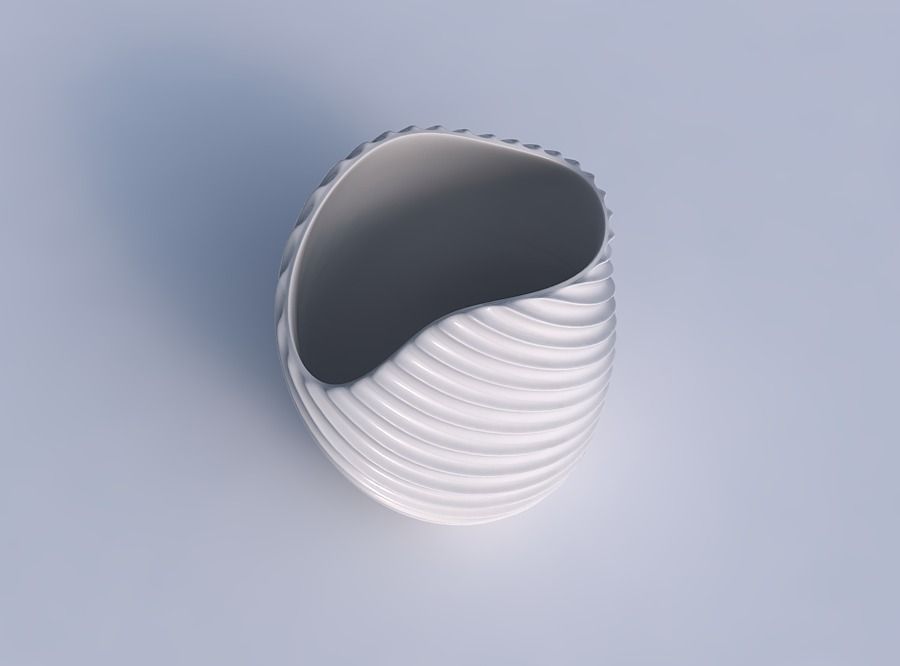 Bowl compressed and twisted with extruded vertical lines 2 3D print model_1