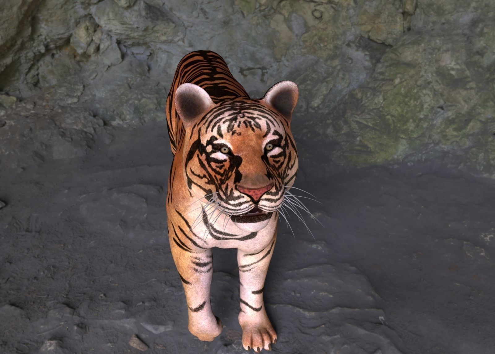 Tiger 3D model_2