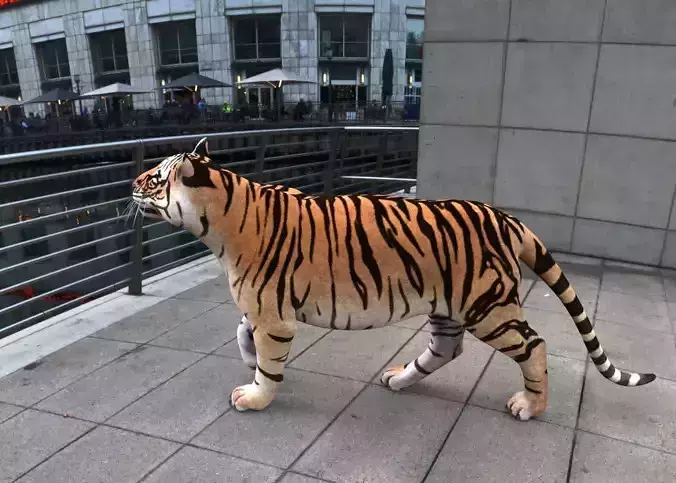 Tiger 3D model