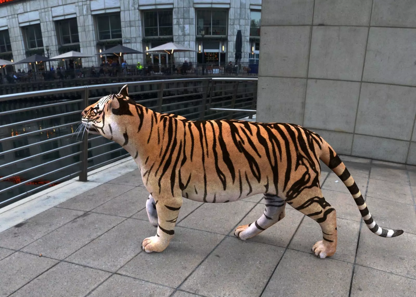 Tiger 3D model_0