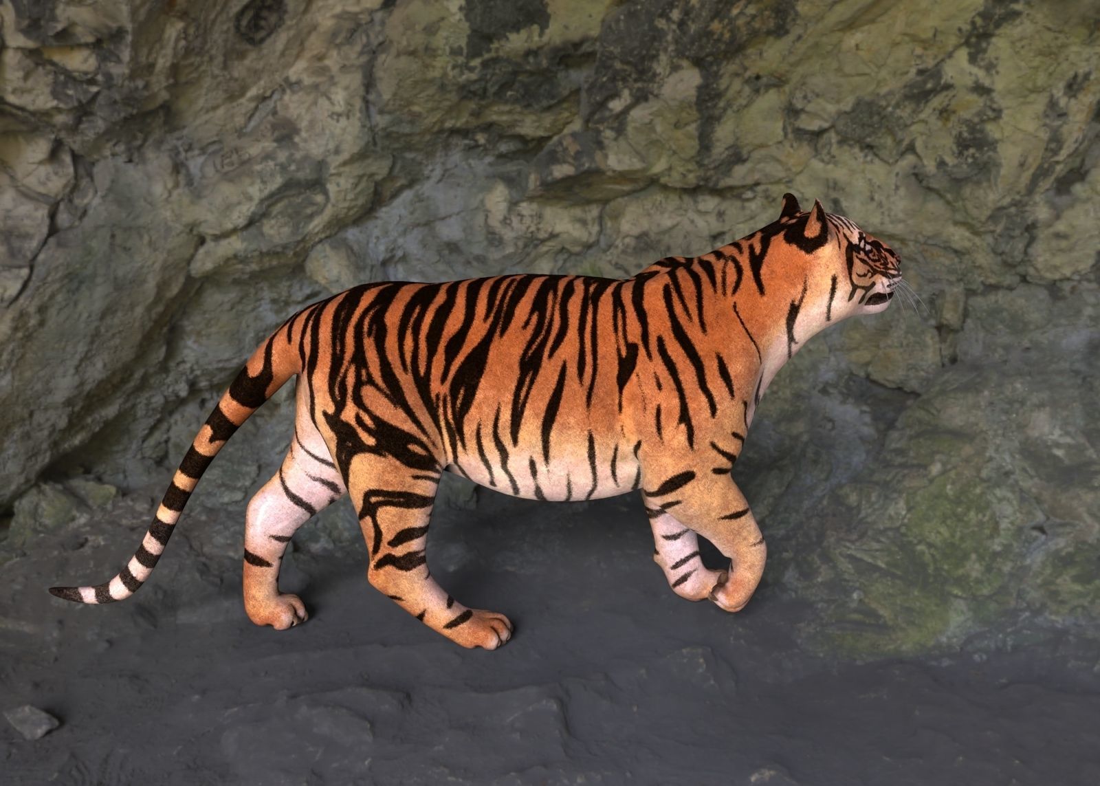 Tiger 3D model_3