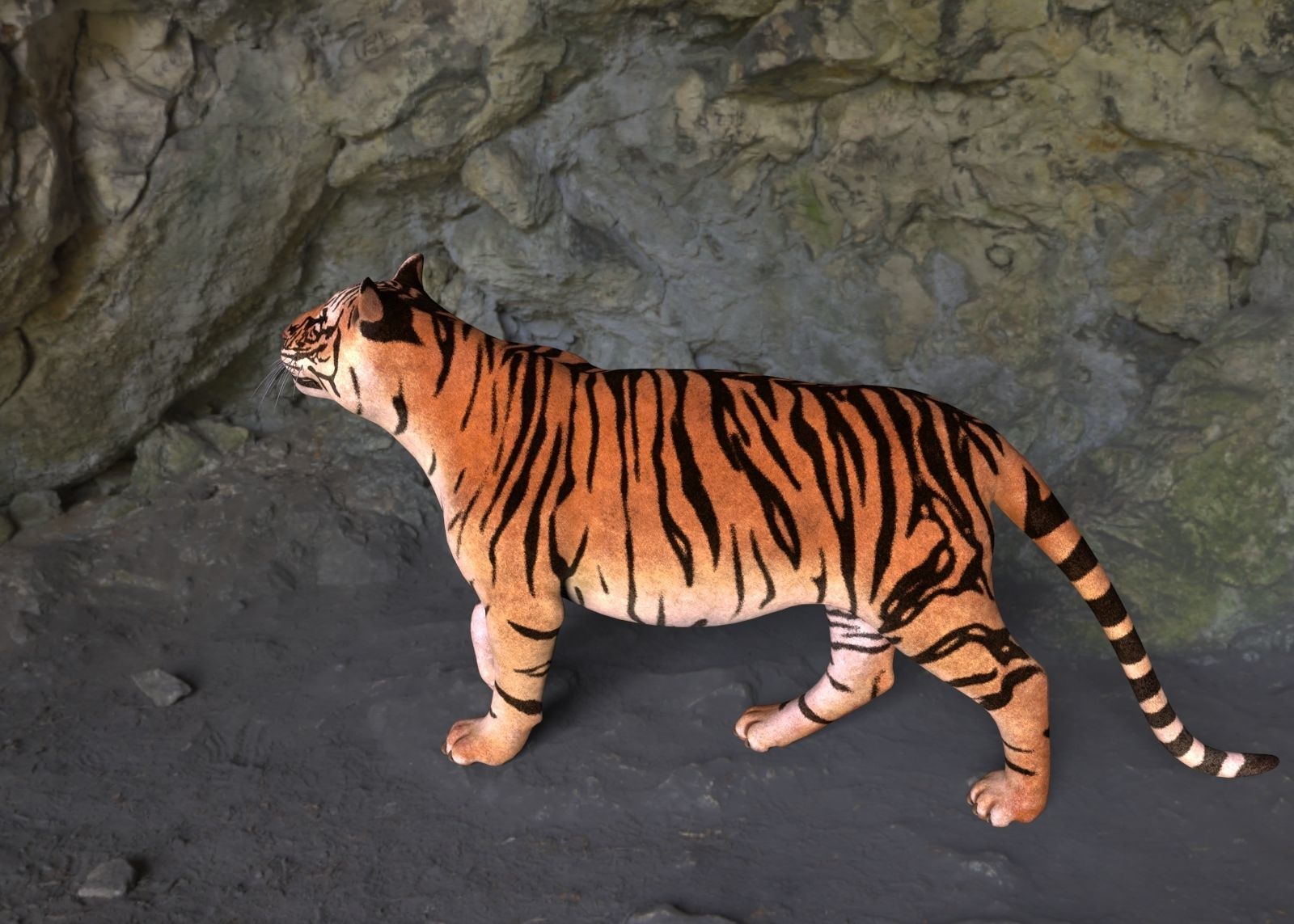 Tiger 3D model_4