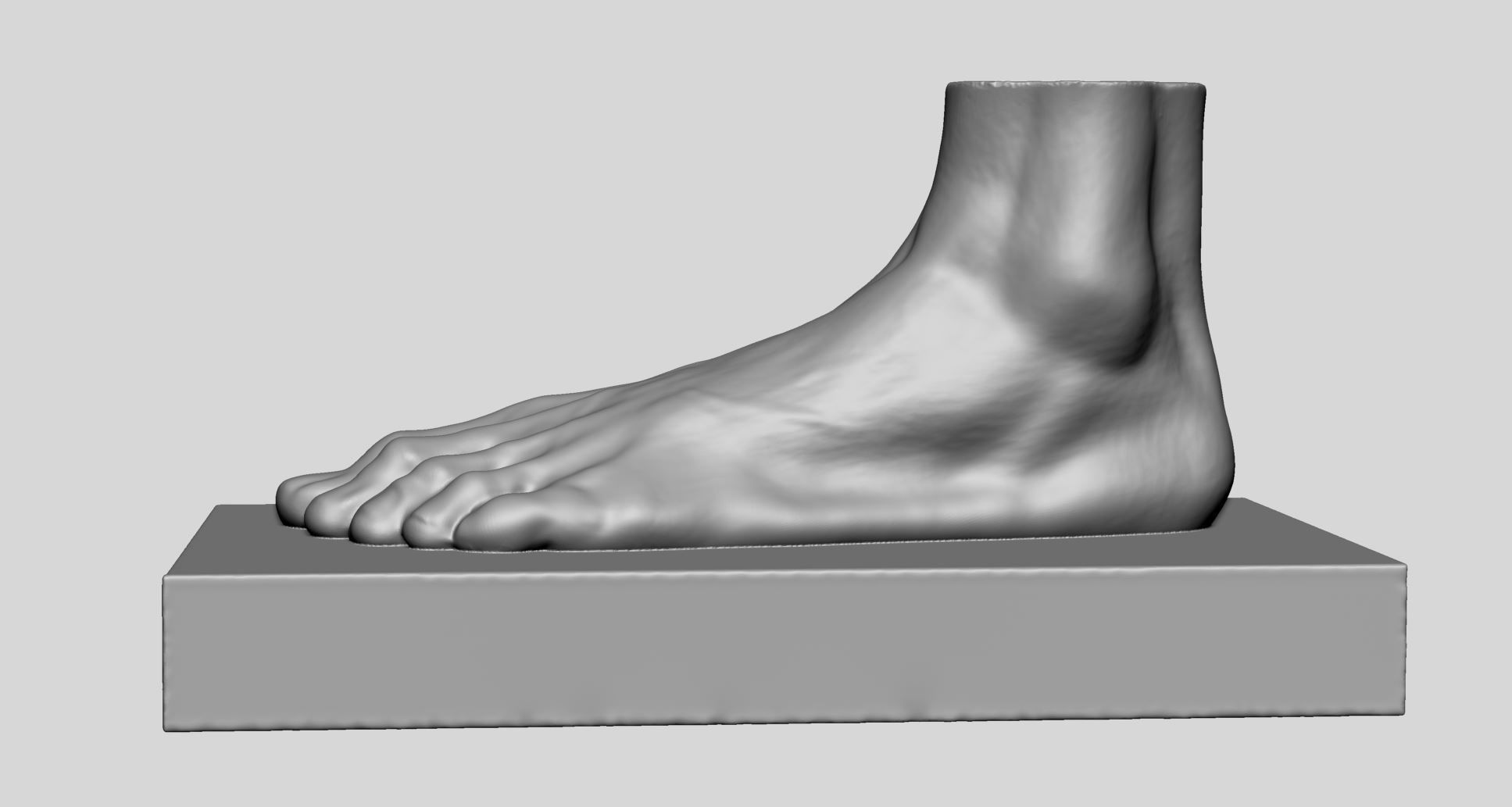 Foot Printable v2 3D print model_4