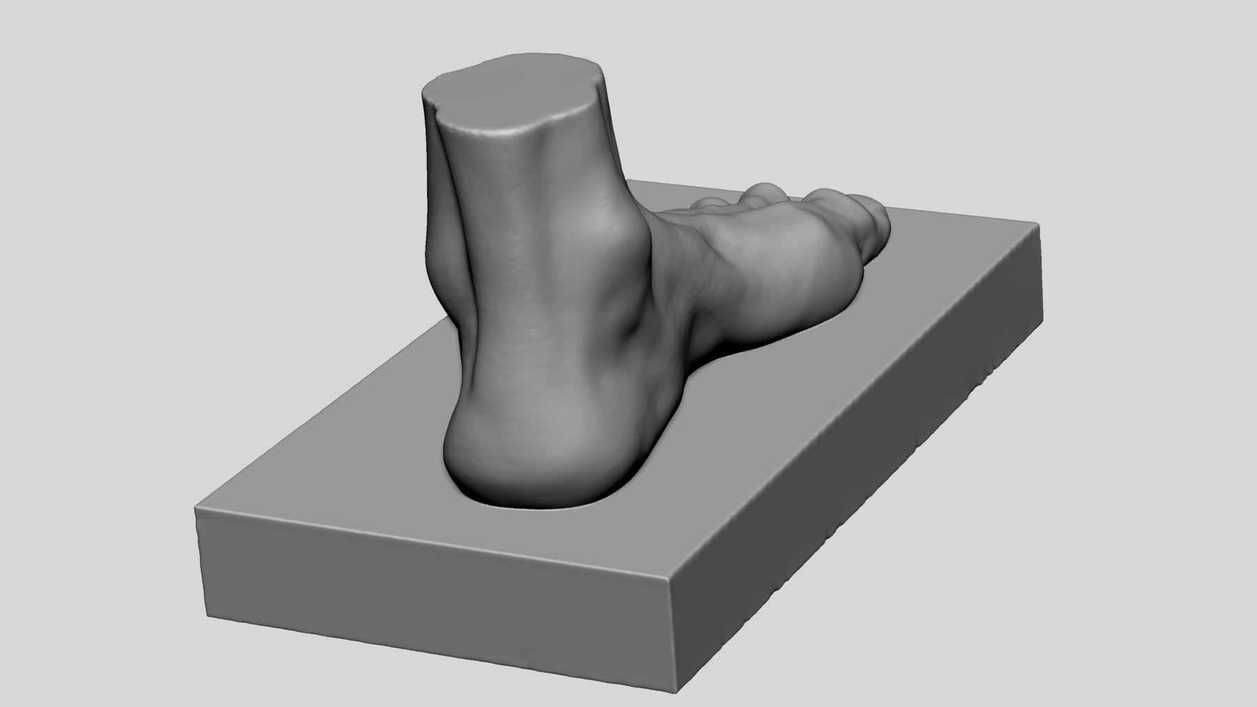 Foot Printable v2 3D print model_2
