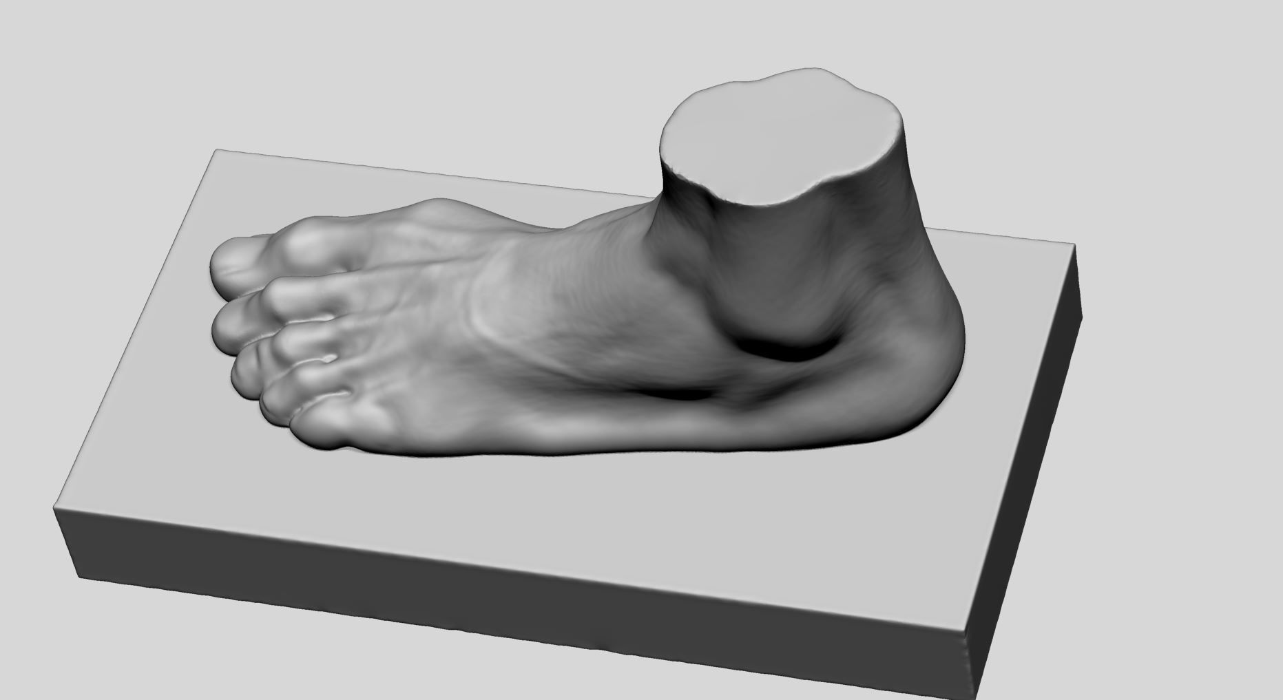 Foot Printable v2 3D print model_6