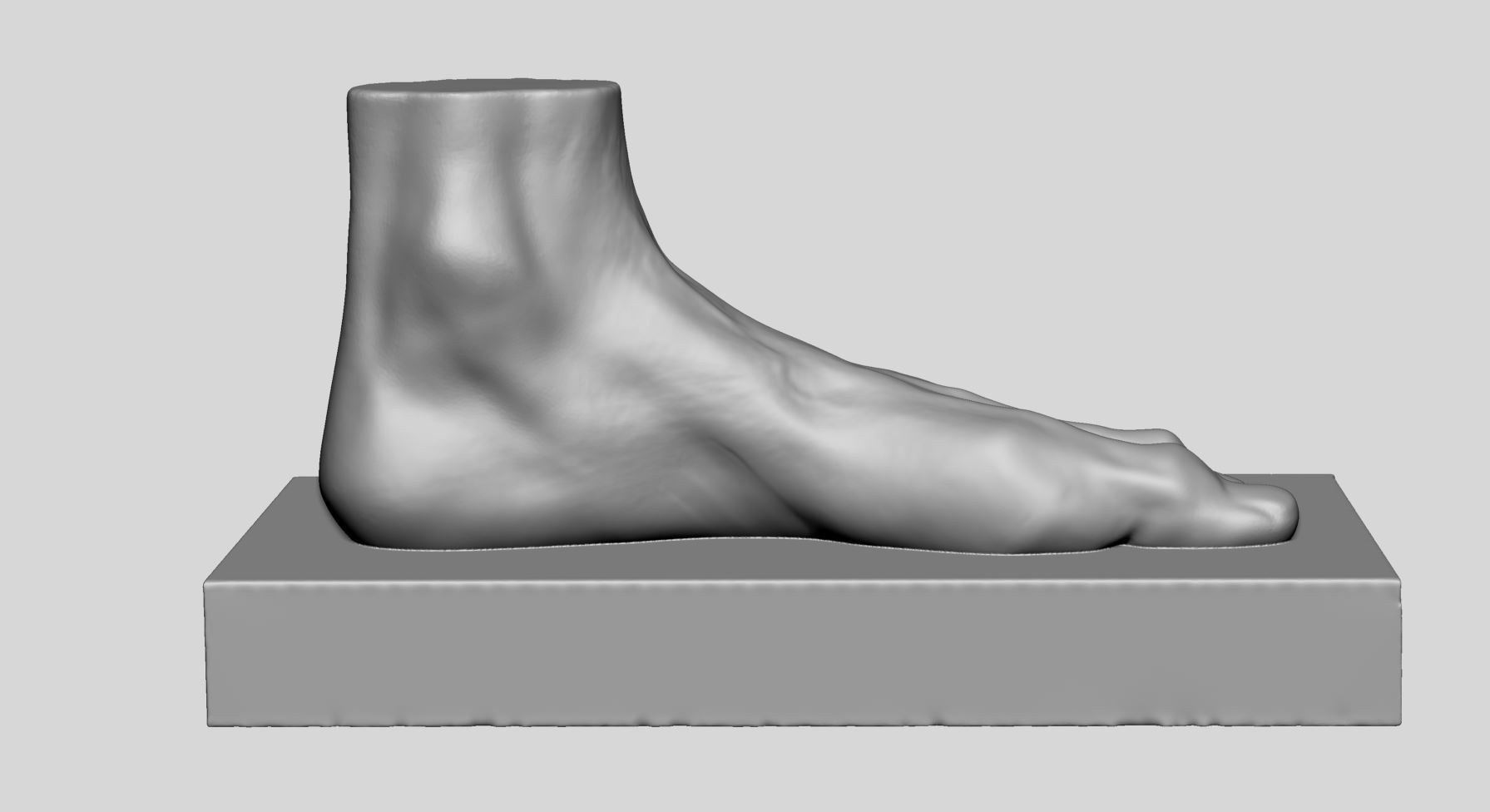 Foot Printable v2 3D print model_1