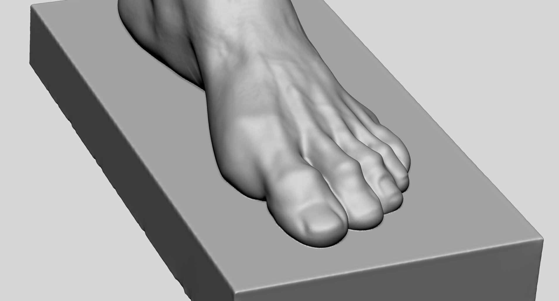 Foot Printable v2 3D print model_8