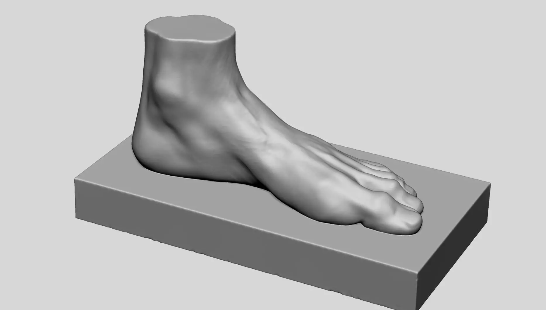 Foot Printable v2 3D print model_0