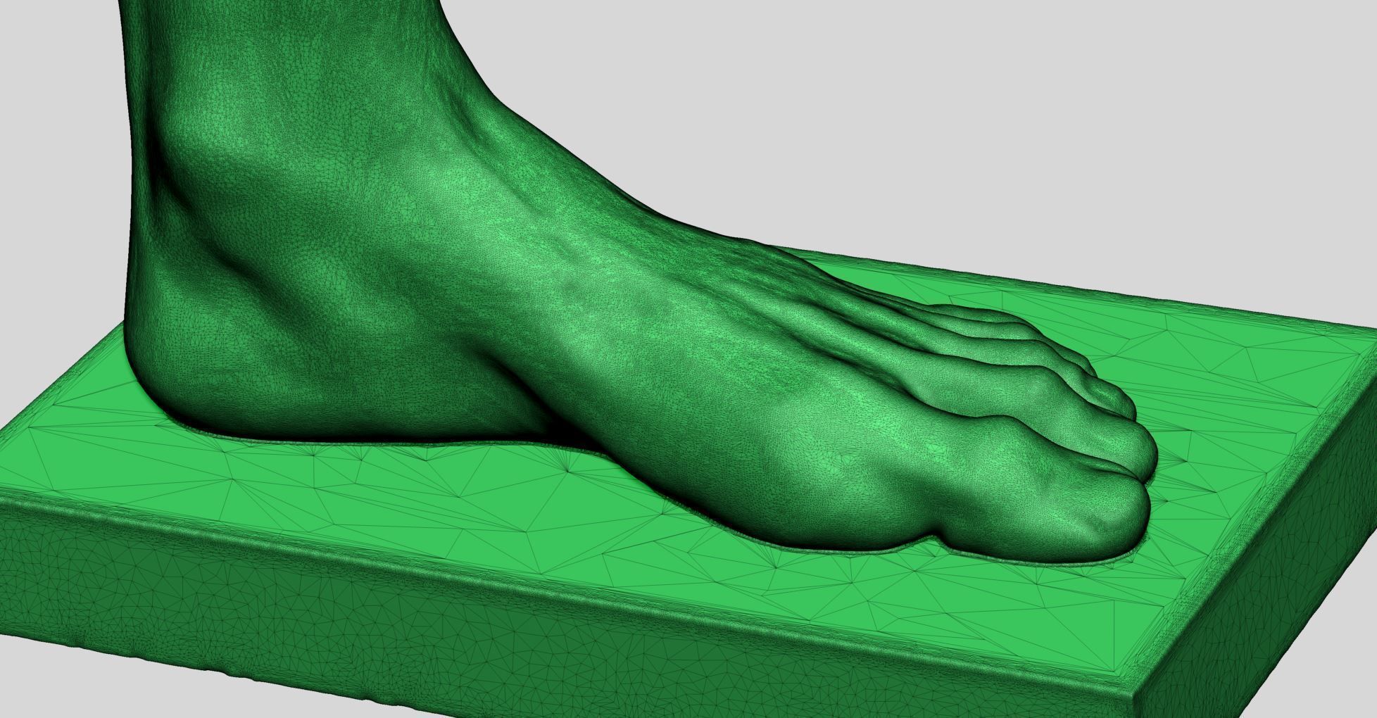 Foot Printable v2 3D print model_9