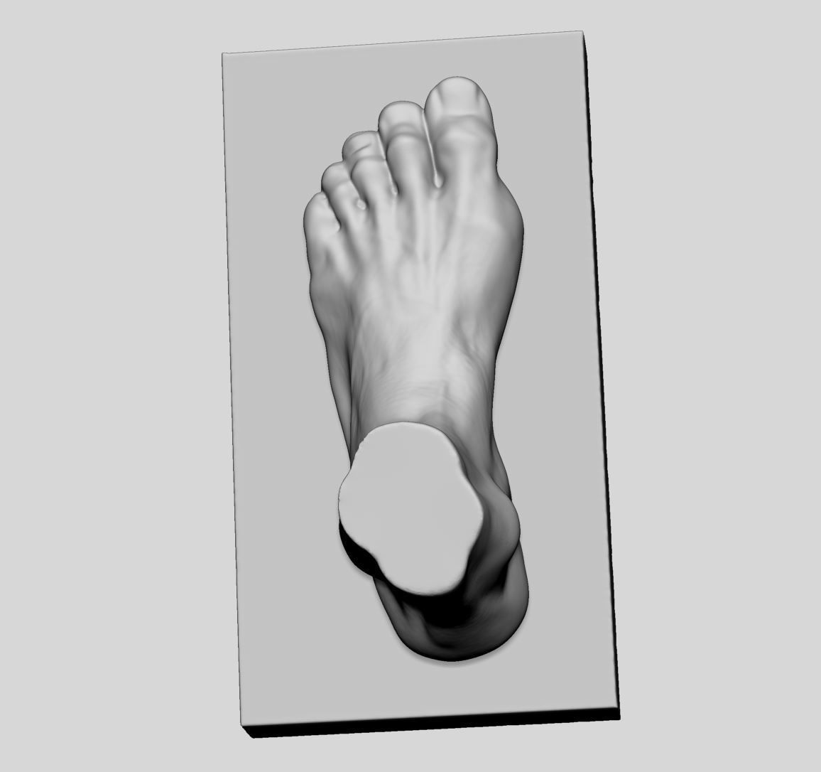Foot Printable v2 3D print model_7
