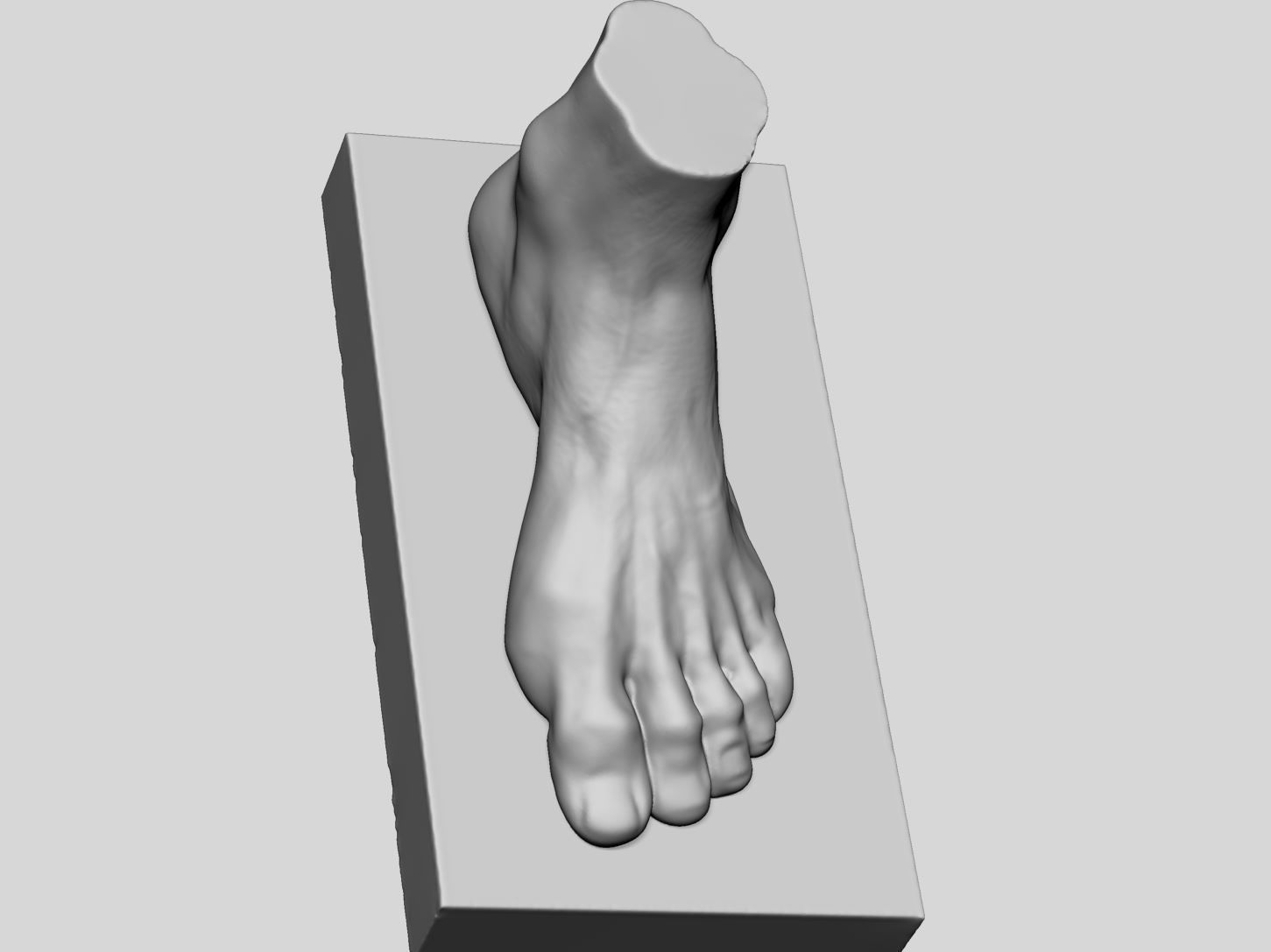 Foot Printable v2 3D print model_5