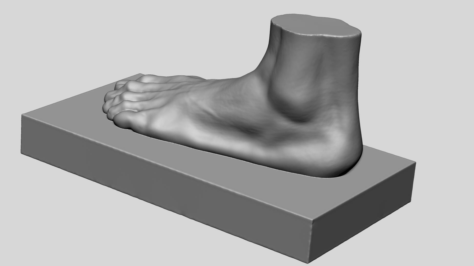 Foot Printable v2 3D print model_3