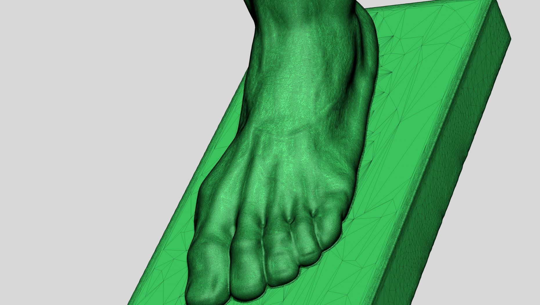 Foot Printable v2 3D print model_10