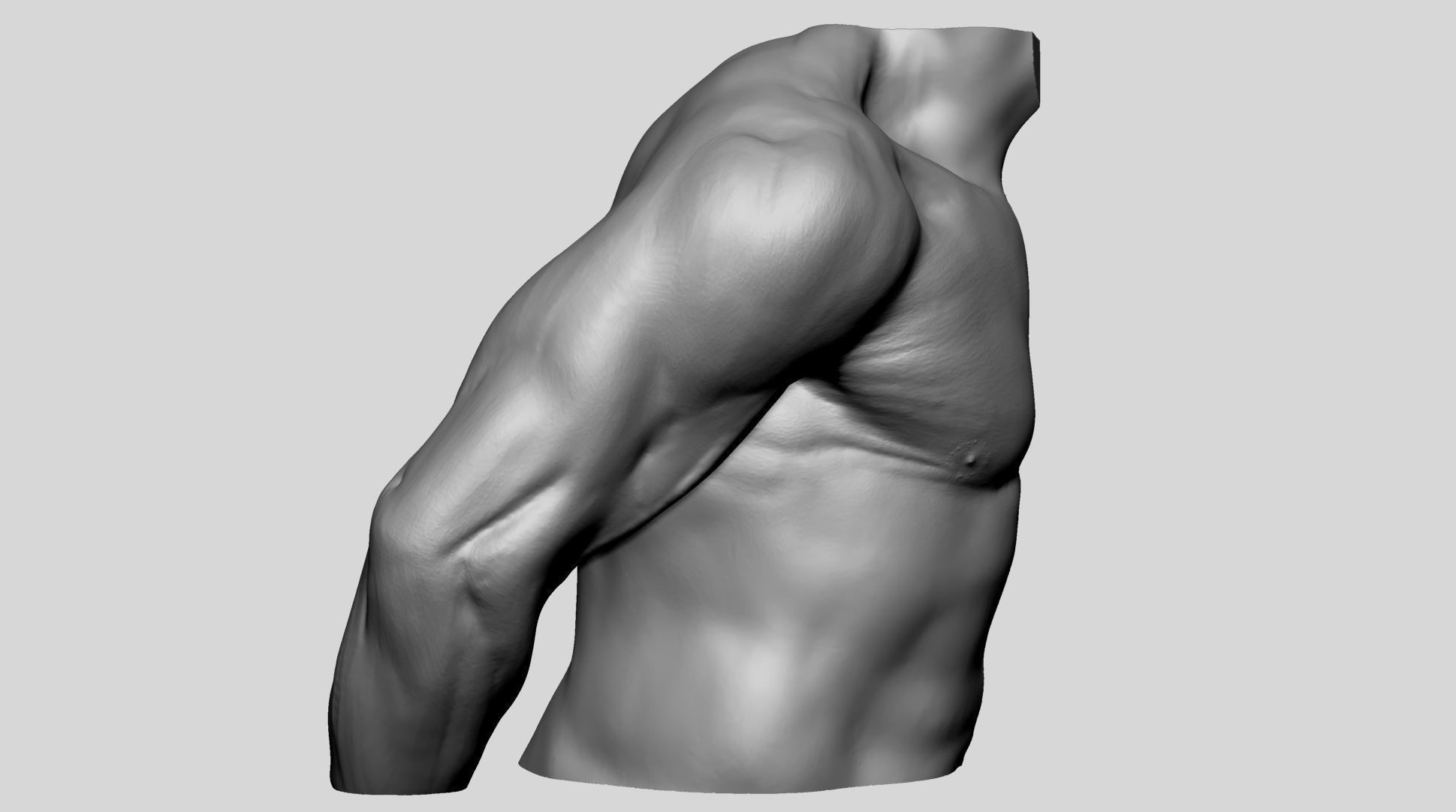 Shoulder Printable 3D print model_1