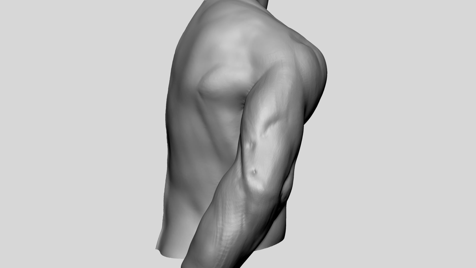 Shoulder Printable 3D print model_2