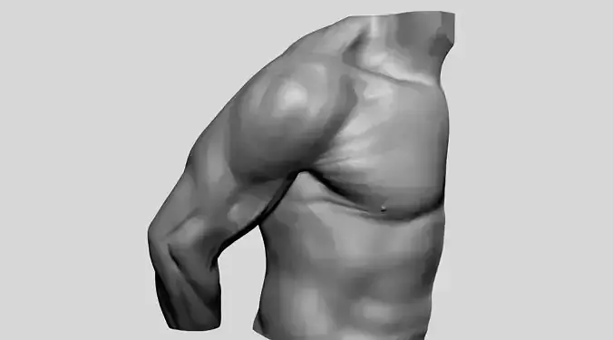 Shoulder Printable 3D print model