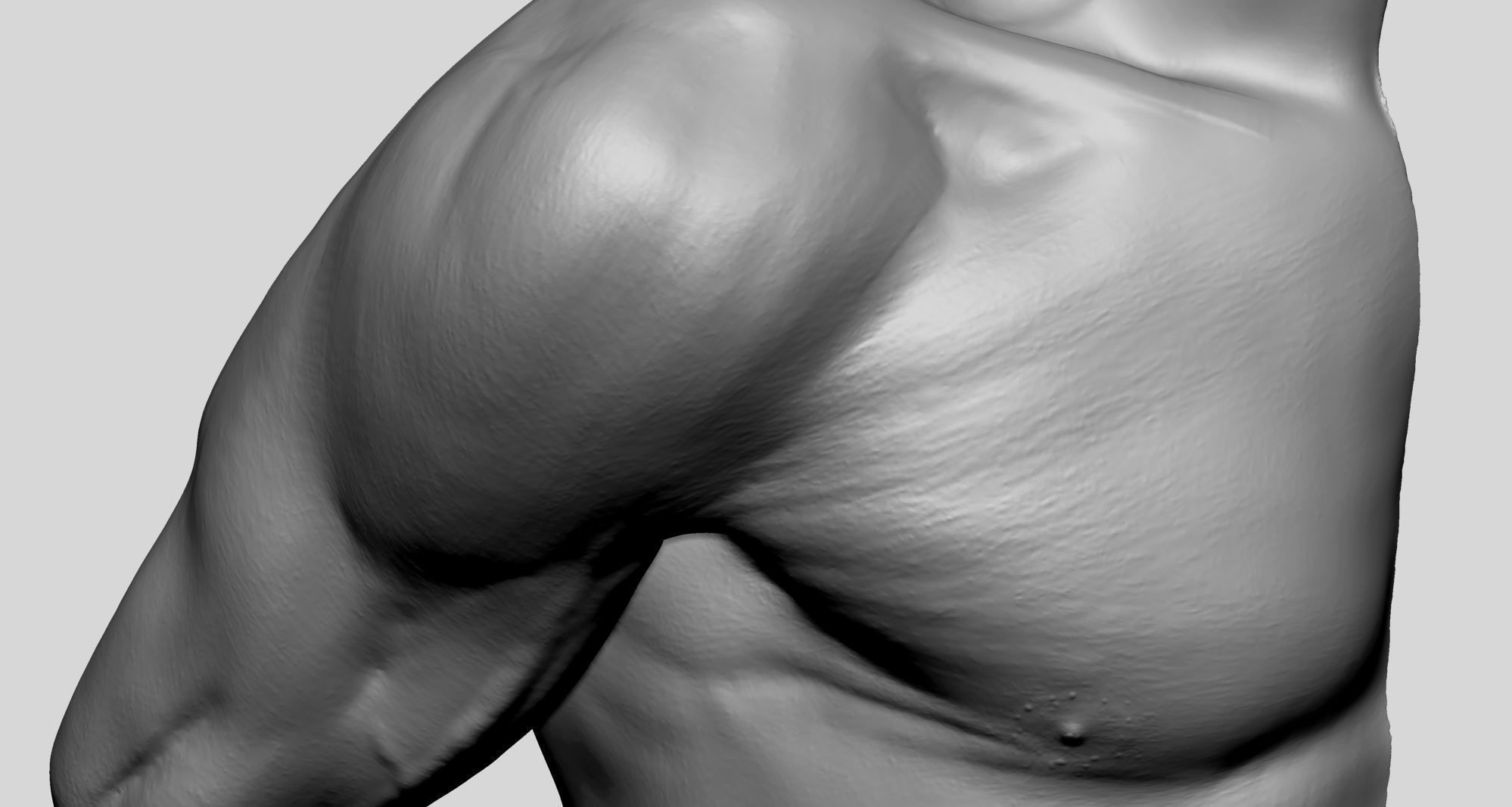 Shoulder Printable 3D print model_6