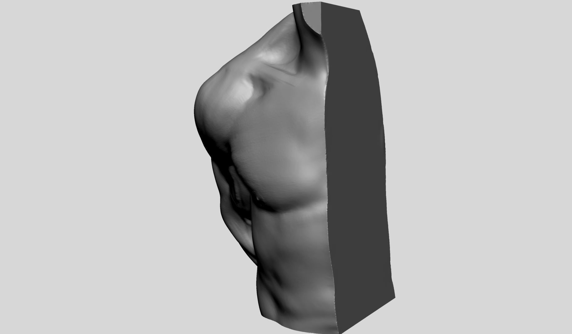 Shoulder Printable 3D print model_4