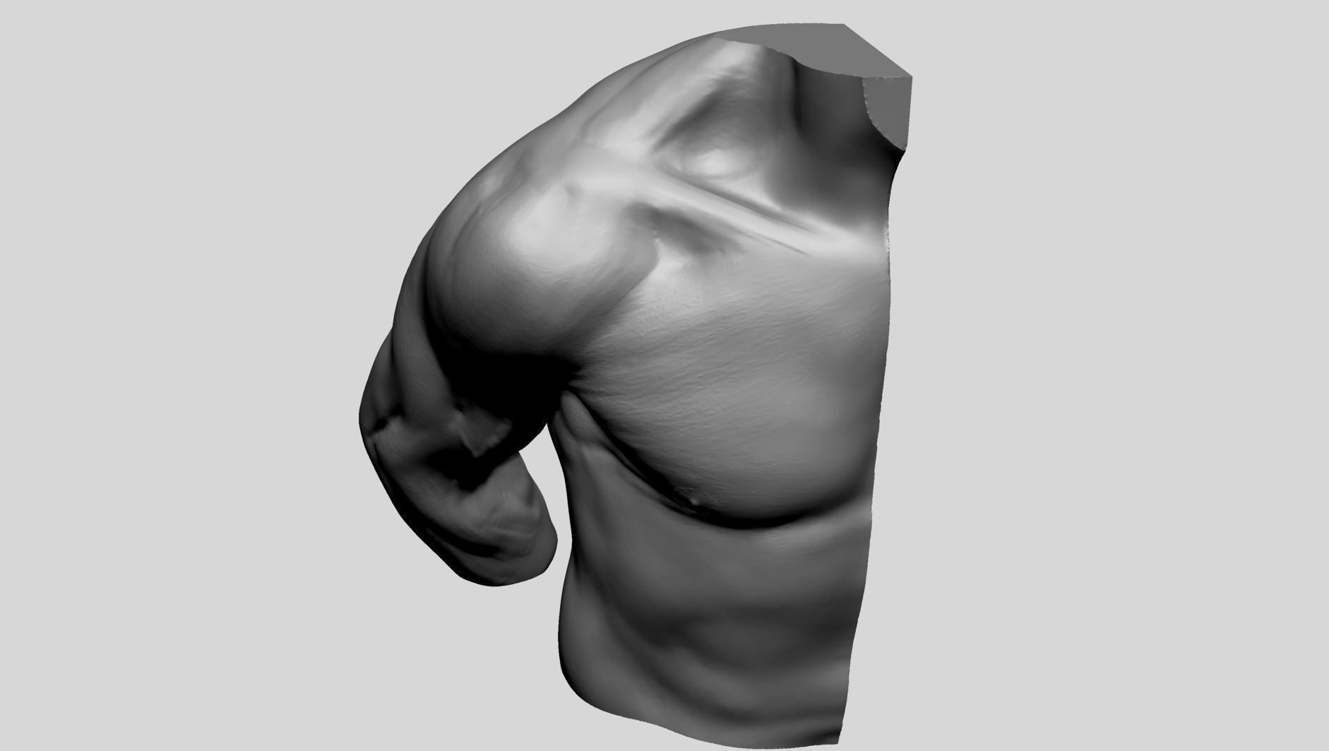 Shoulder Printable 3D print model_5