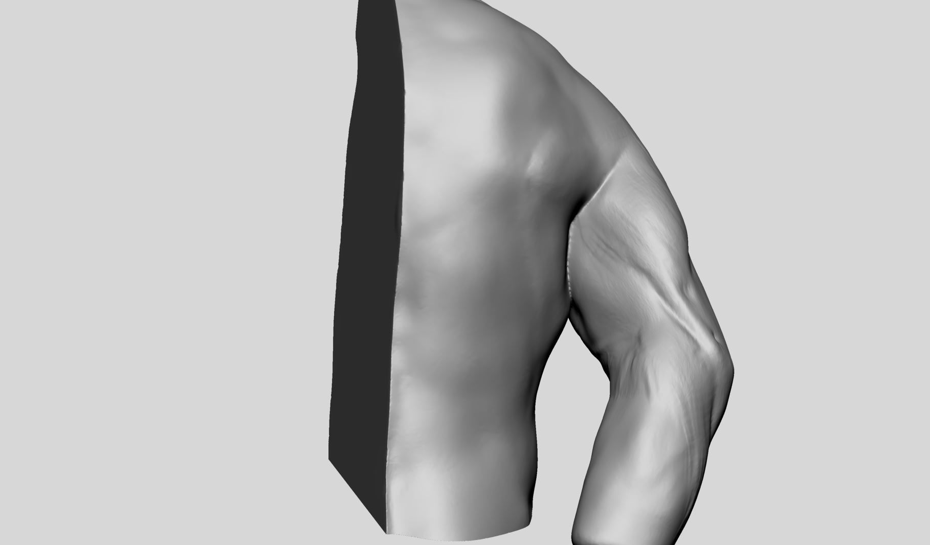 Shoulder Printable 3D print model_3
