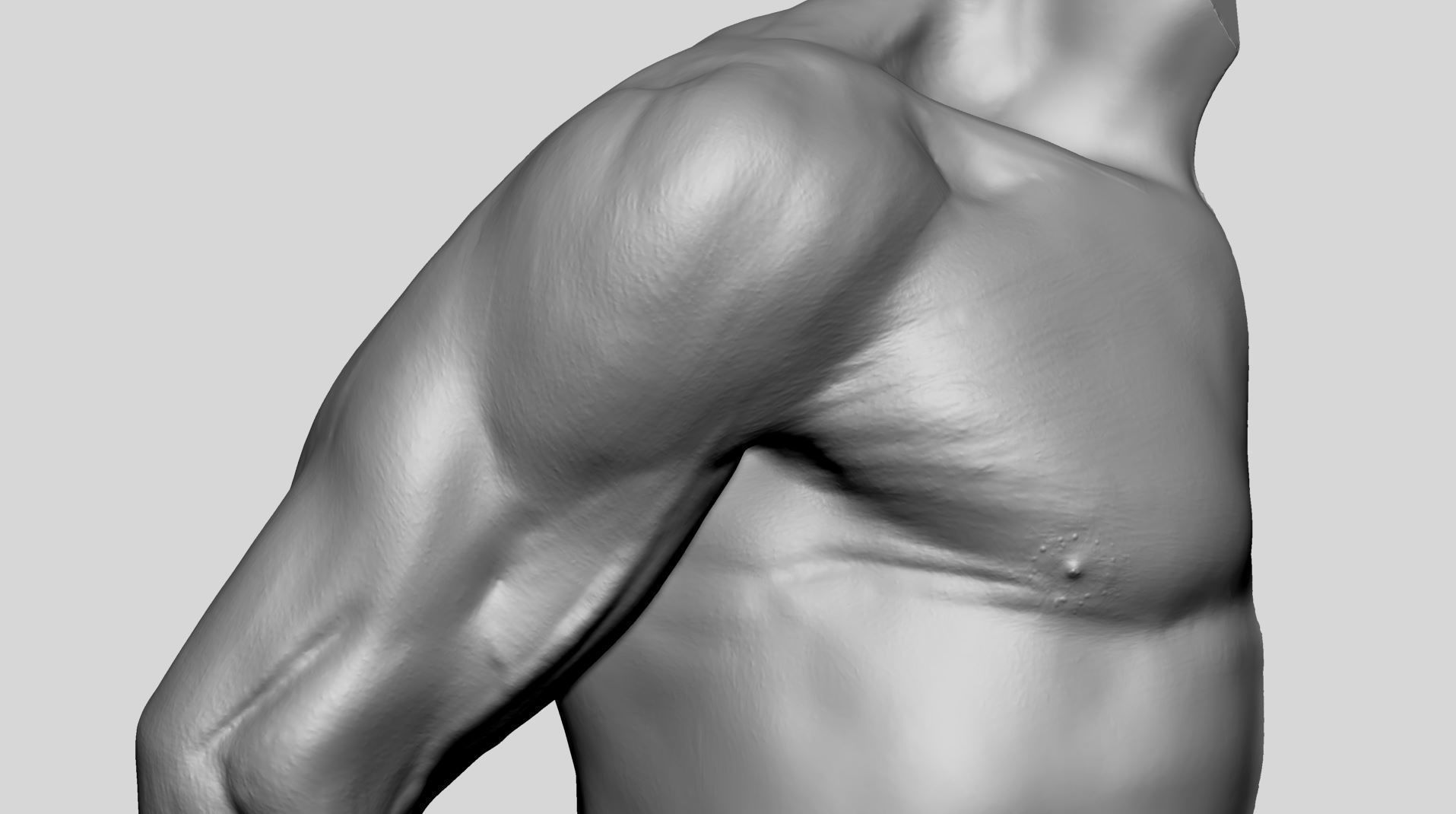 Shoulder Printable 3D print model_9