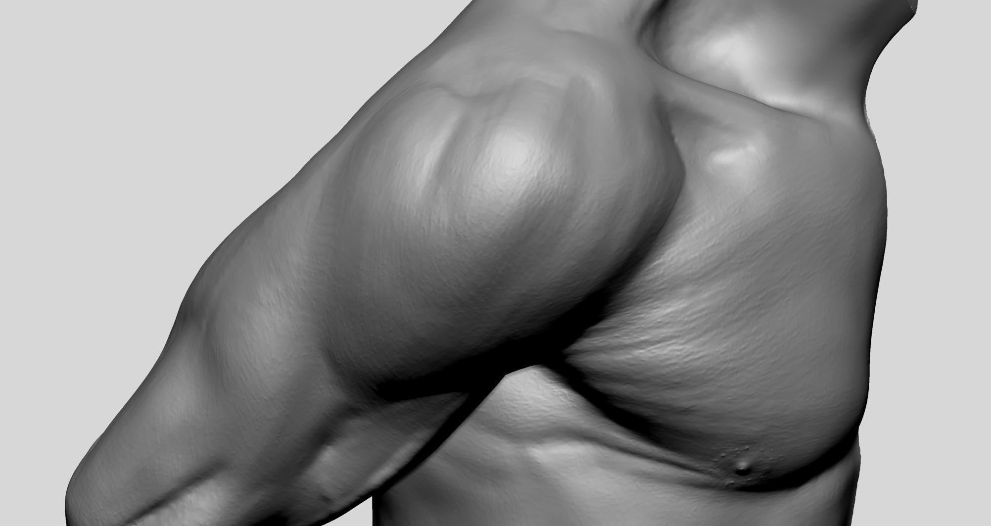 Shoulder Printable 3D print model_7