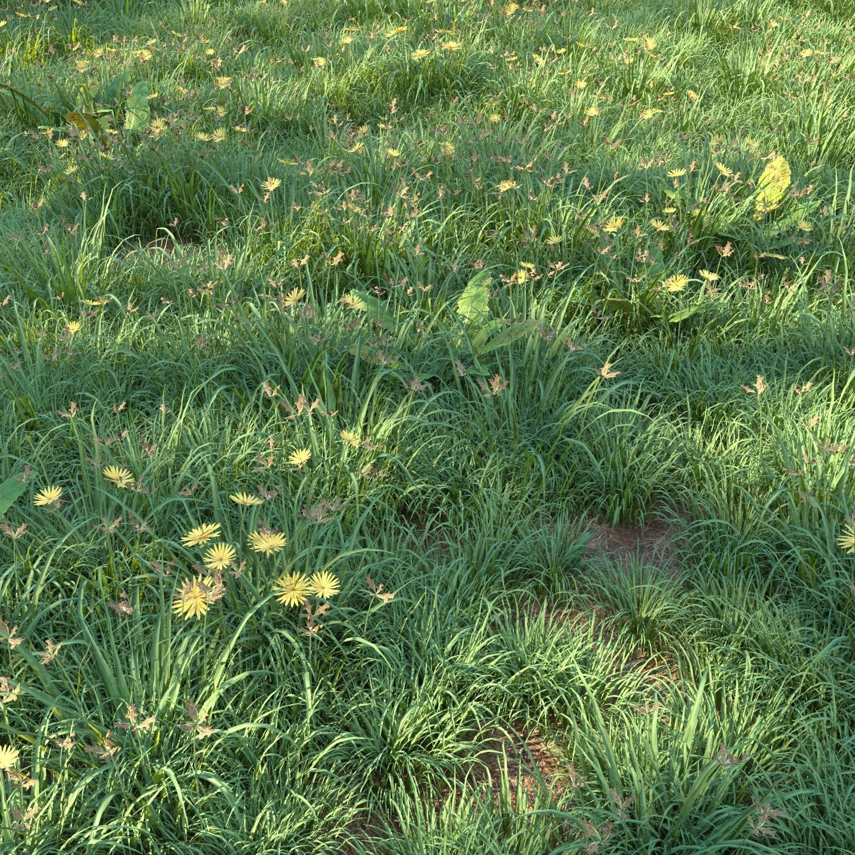 4 grass for landscape with corona scatter 3D model_9