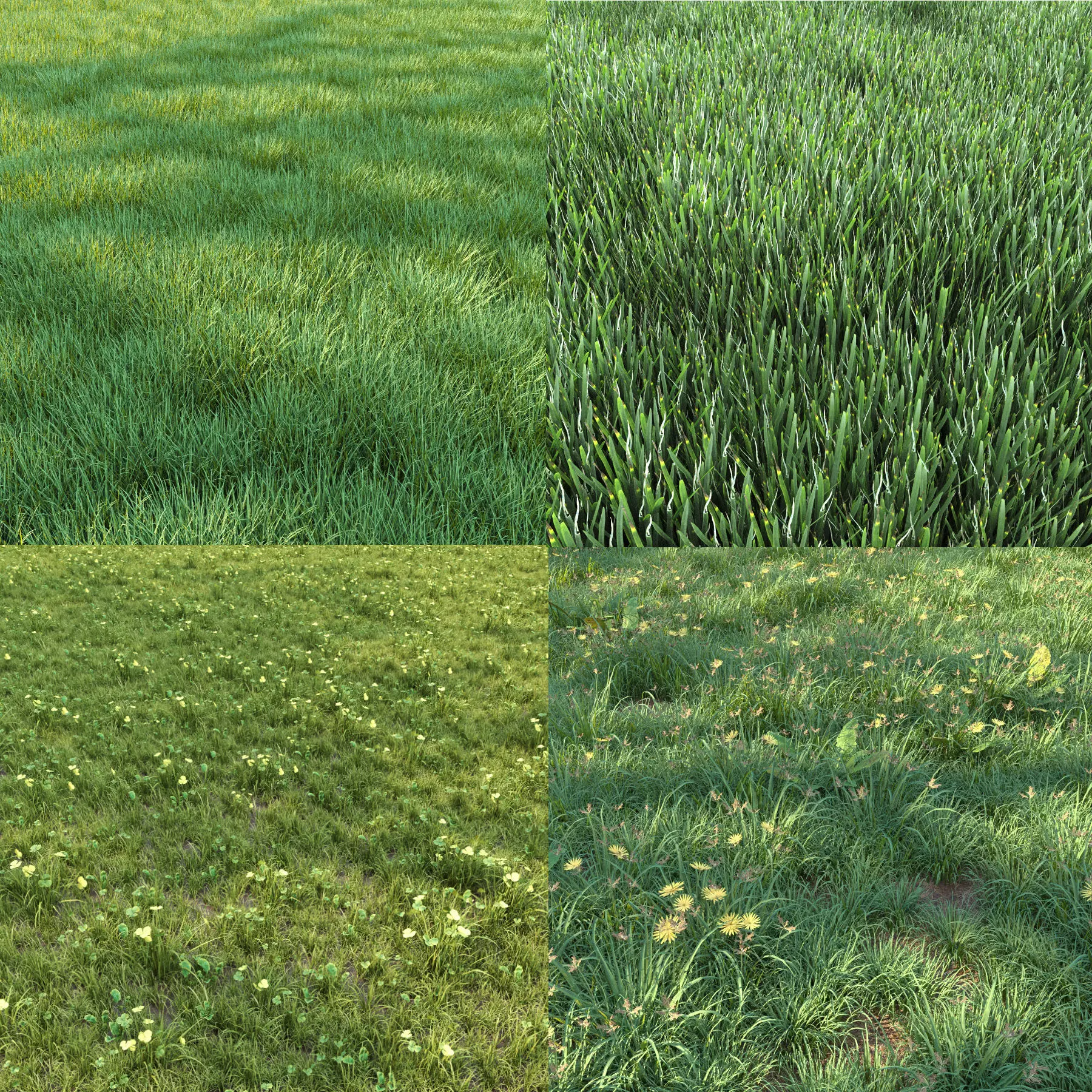 4 grass for landscape with corona scatter 3D model_0