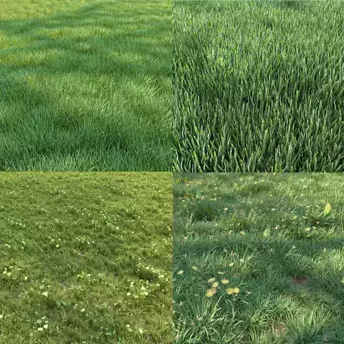 4 grass for landscape with corona scatter 3D model