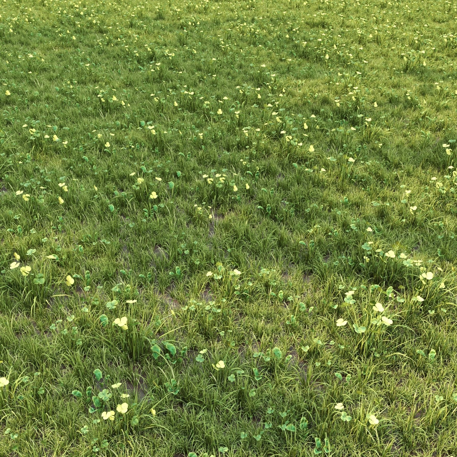 4 grass for landscape with corona scatter 3D model_6