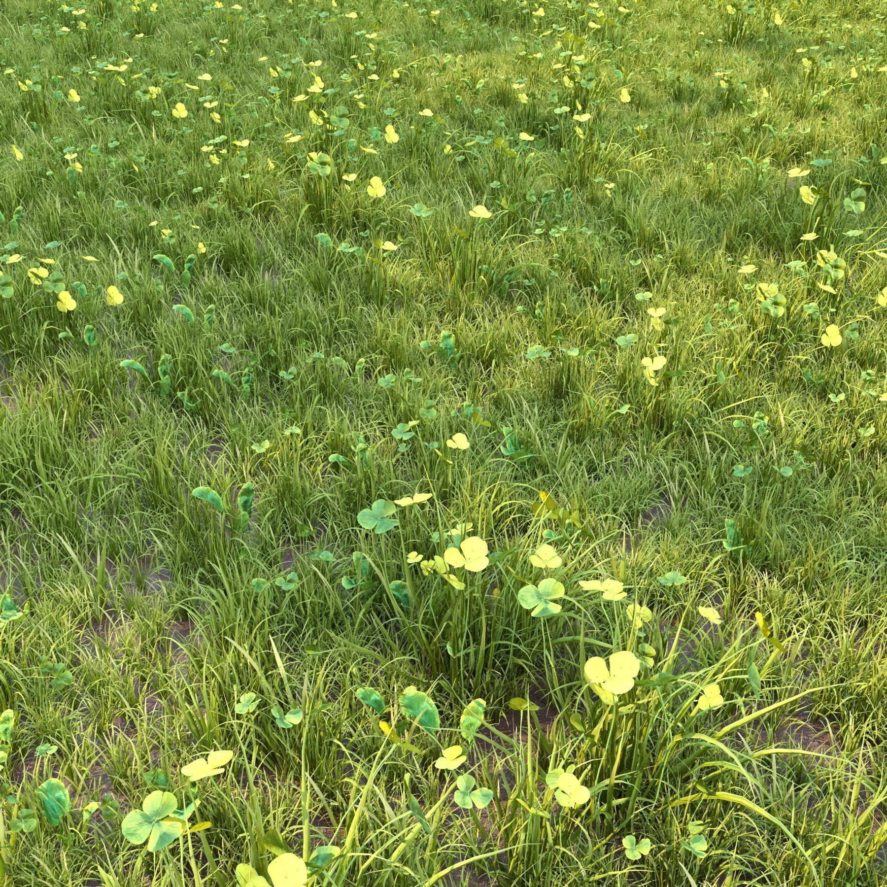 4 grass for landscape with corona scatter 3D model_10