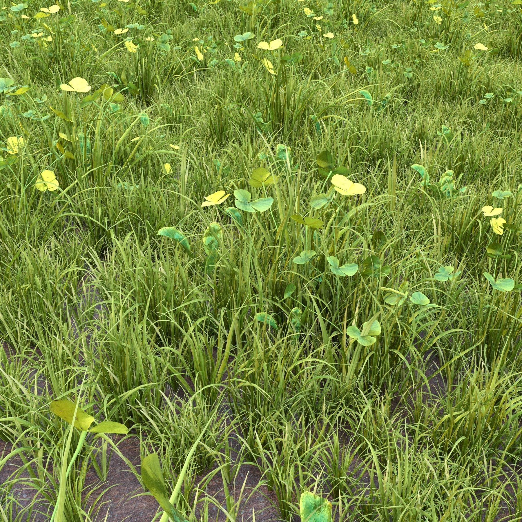 4 grass for landscape with corona scatter 3D model_8