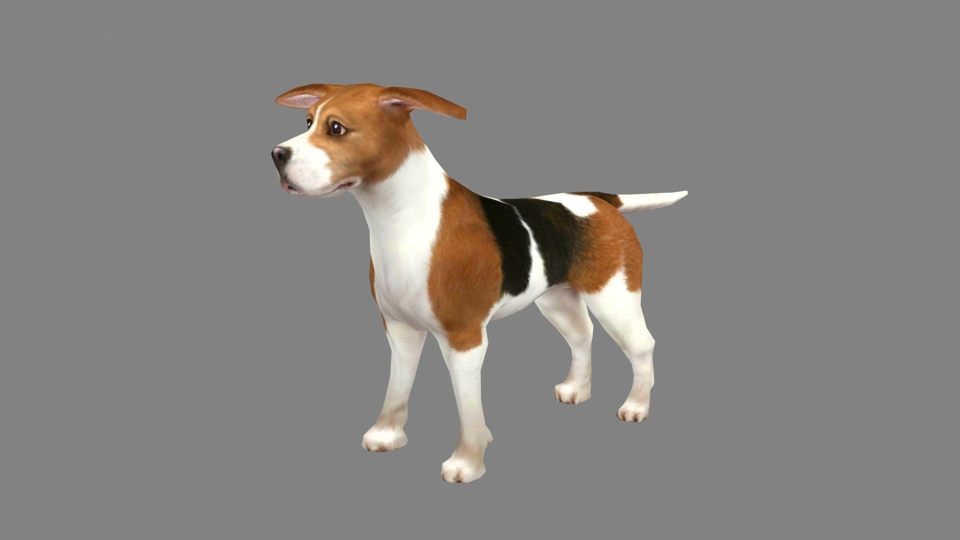 Cartoon beagle - dog Low-poly 3D model_1