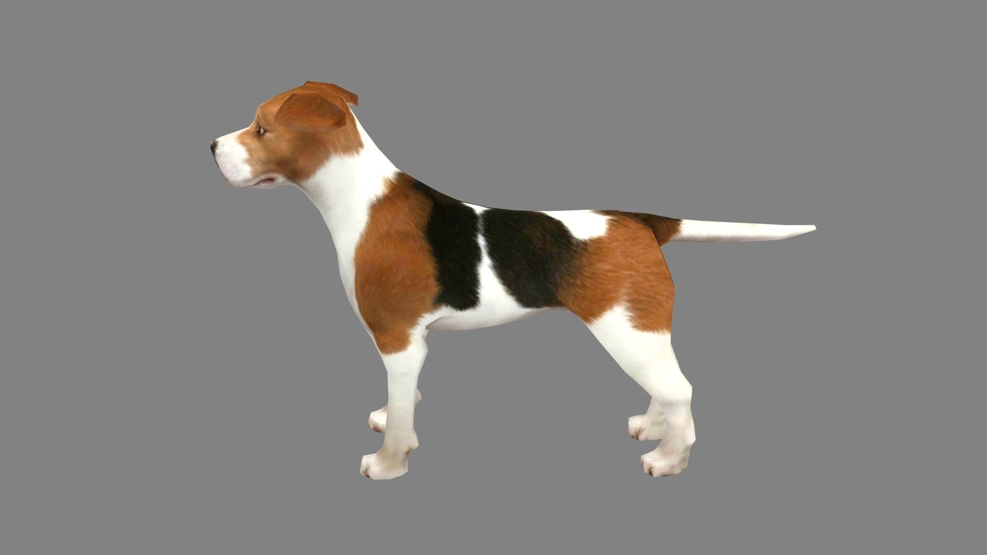Cartoon beagle - dog Low-poly 3D model_2