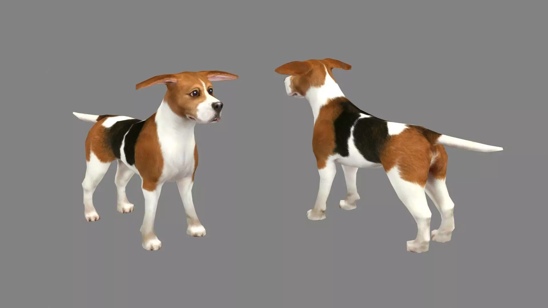 Cartoon beagle - dog Low-poly 3D model_0