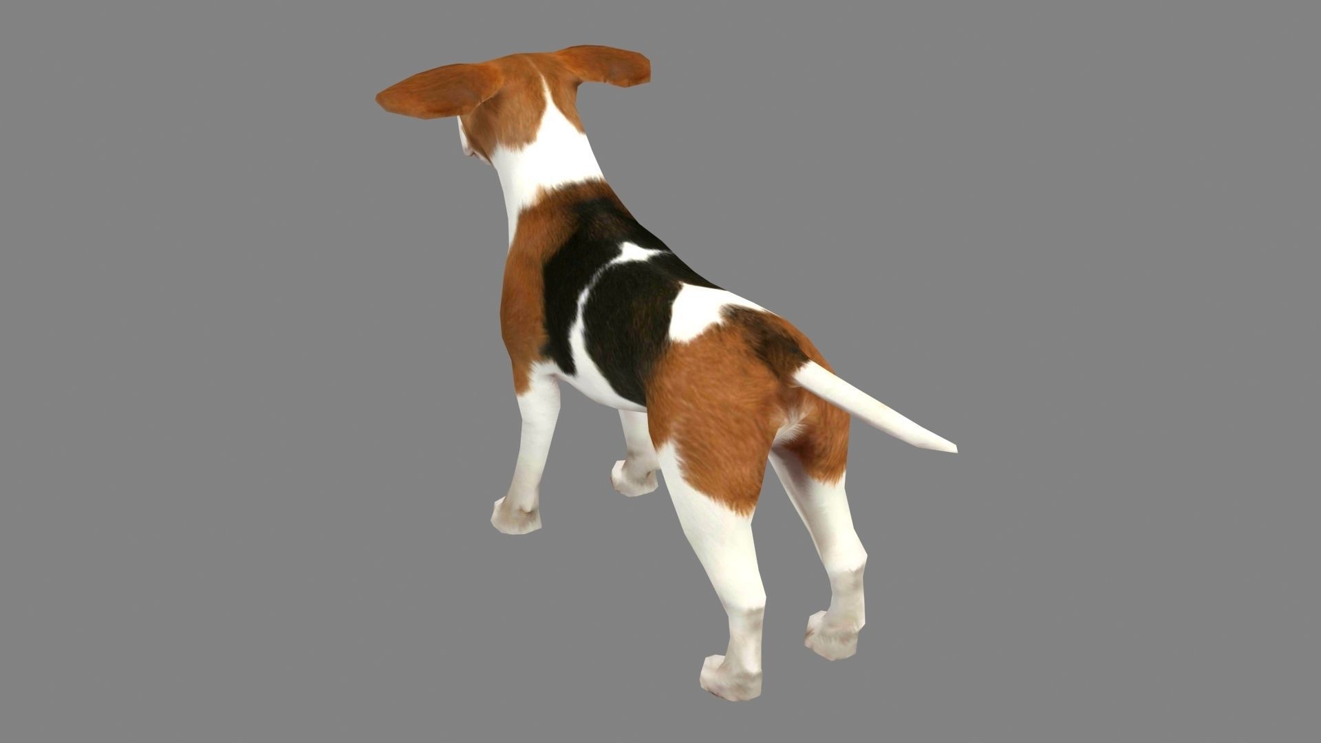 Cartoon beagle - dog Low-poly 3D model_3