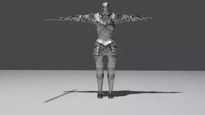 Rigged Knight  realistic 