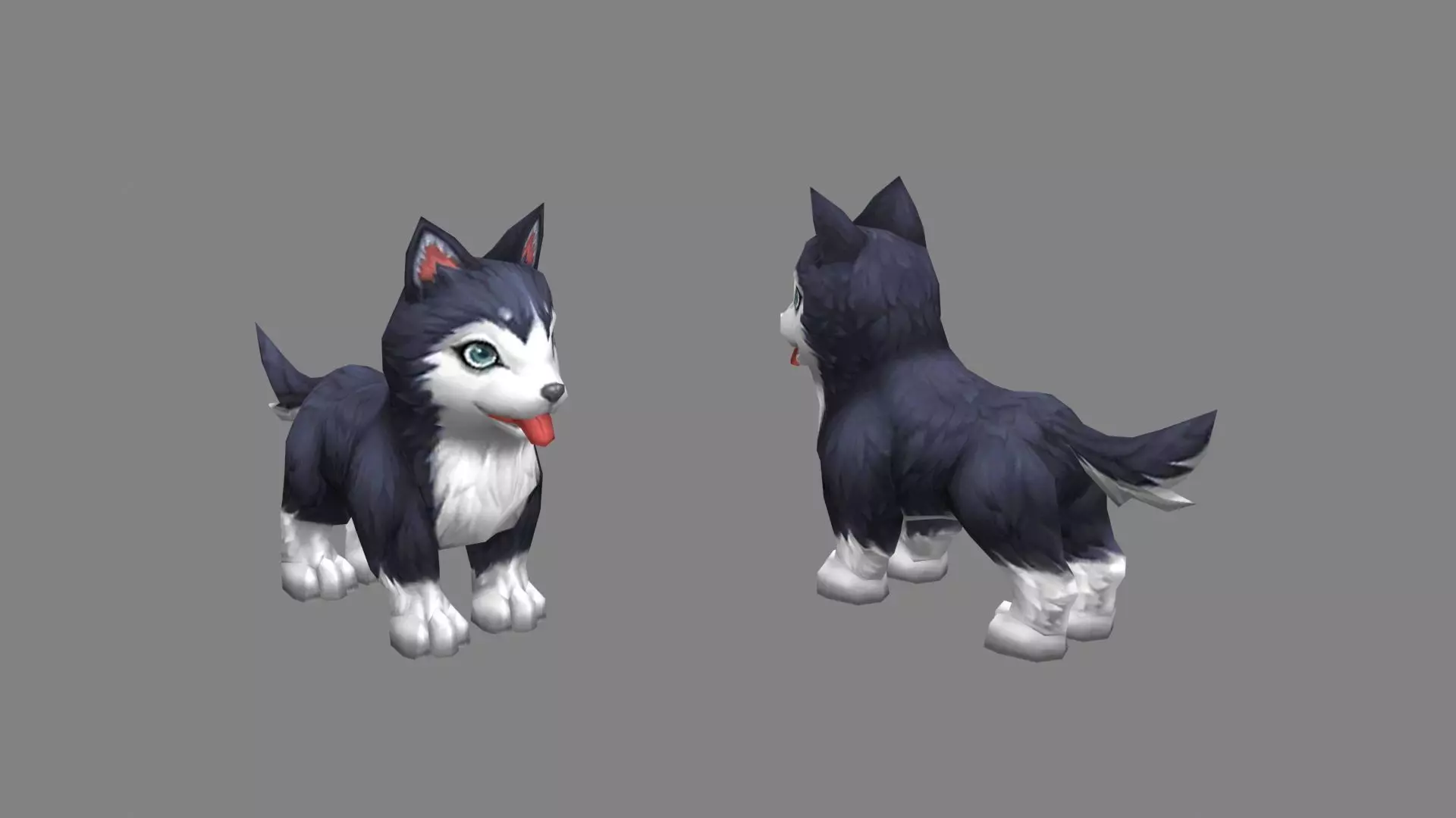 Cartoon husky - puppy dog Low-poly 3D model_0