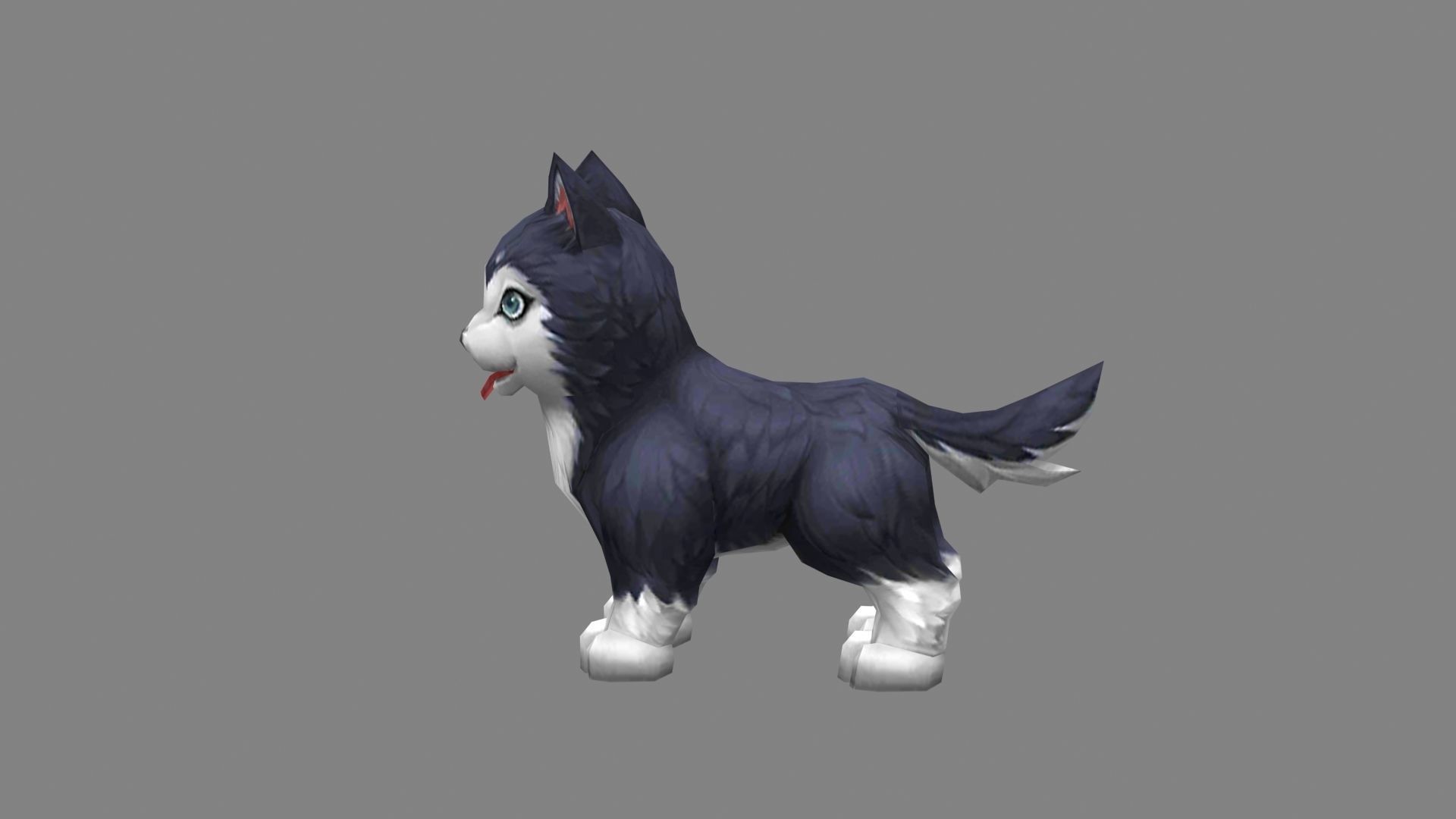 Cartoon husky - puppy dog Low-poly 3D model_2