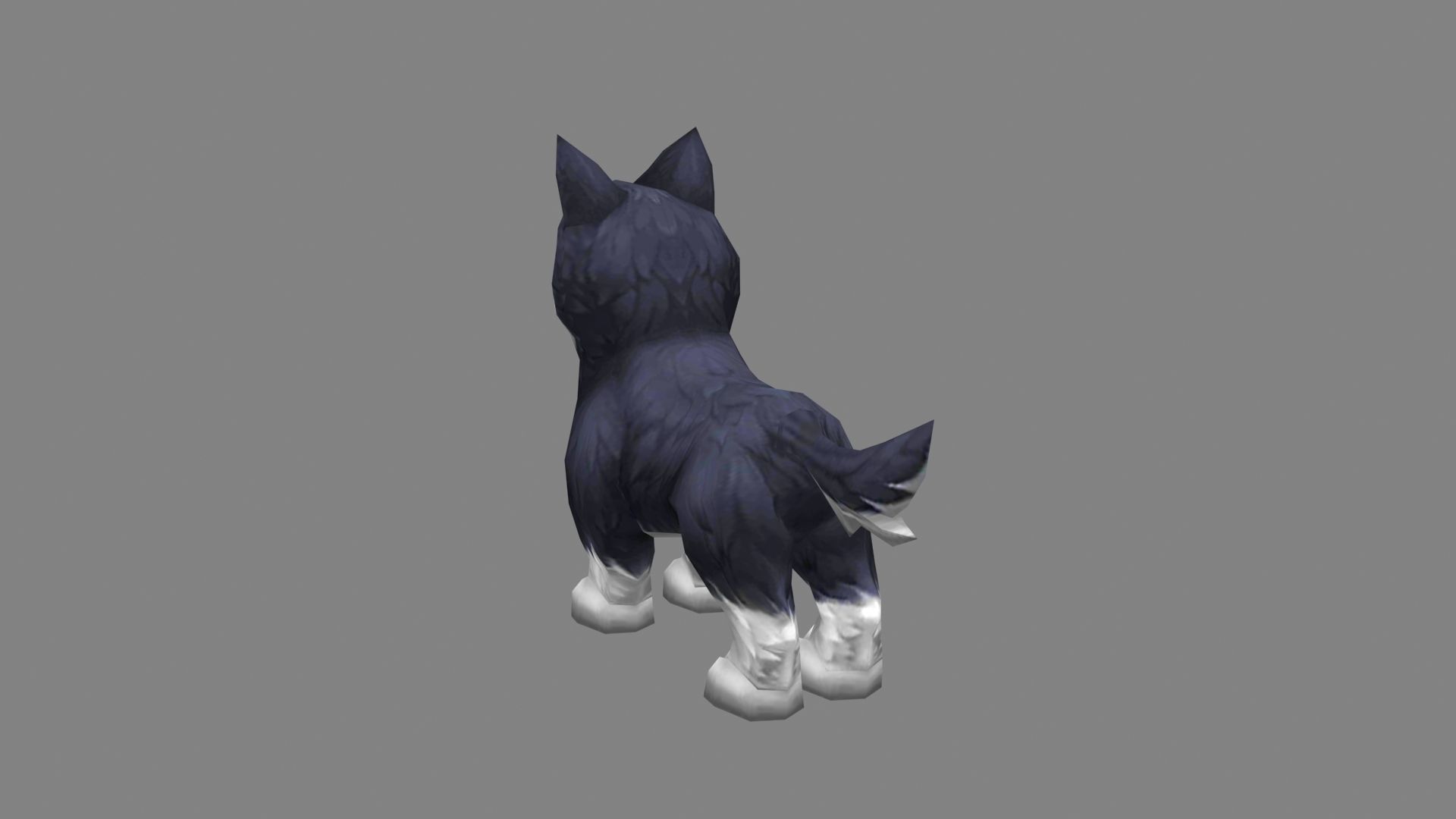 Cartoon husky - puppy dog Low-poly 3D model_3