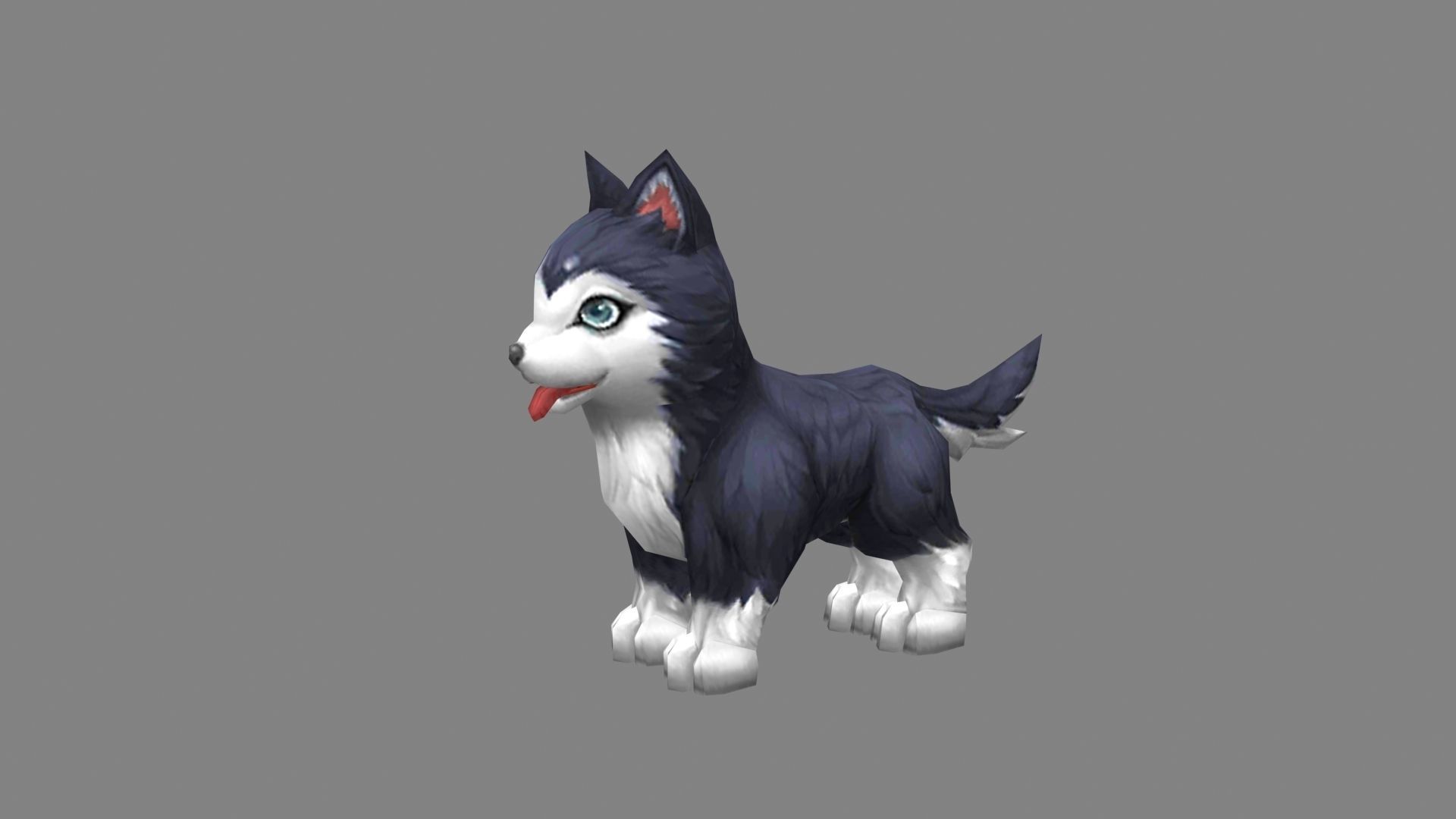 Cartoon husky - puppy dog Low-poly 3D model_1