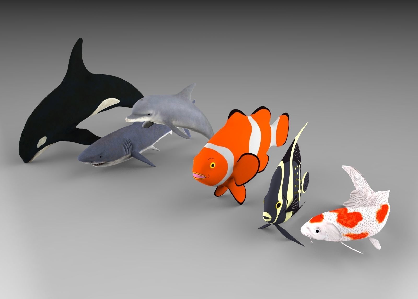 Fish shark koi carp dolphin killer whale clown fish and angel  3D model_3