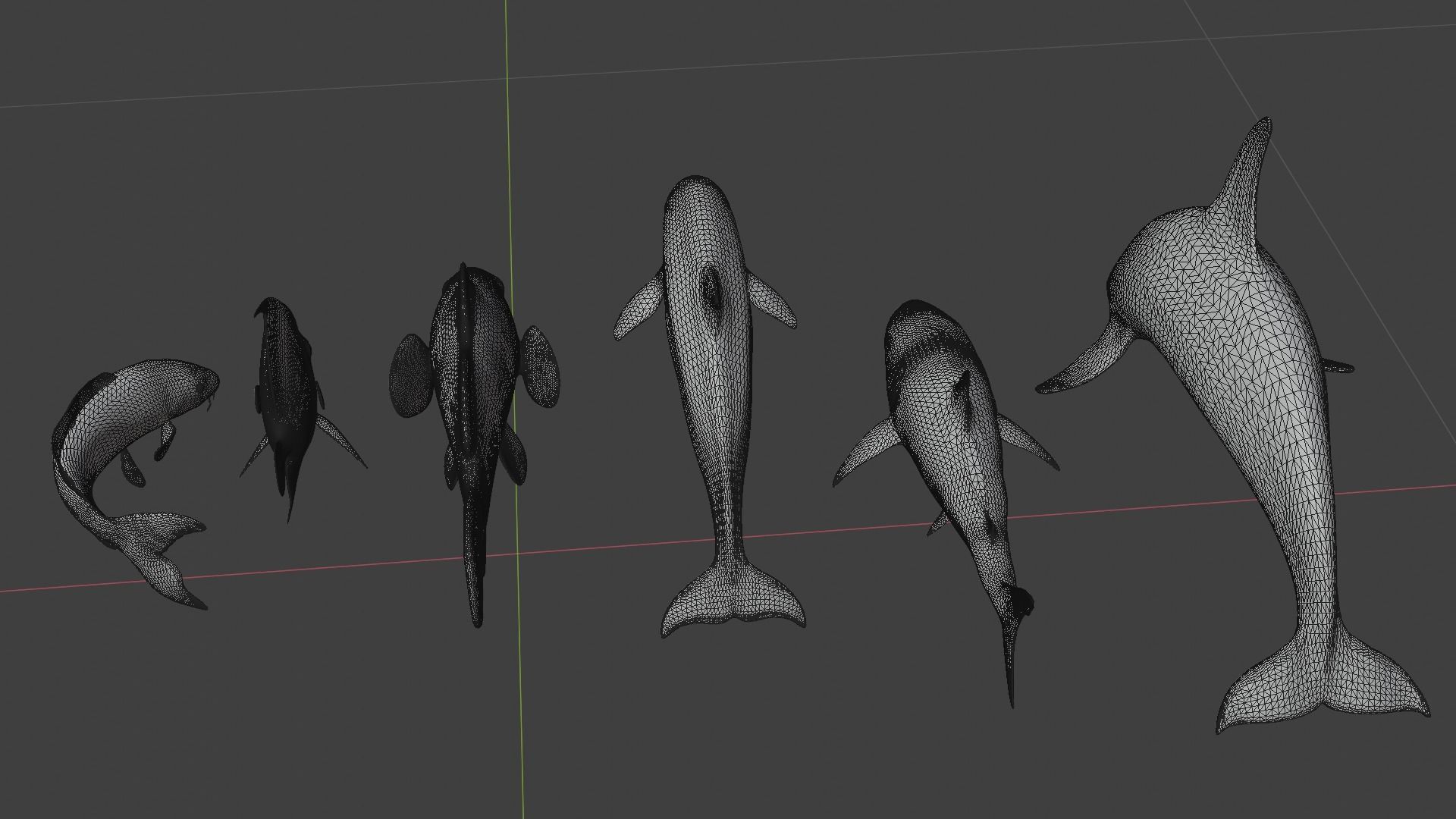 Fish shark koi carp dolphin killer whale clown fish and angel  3D model_5