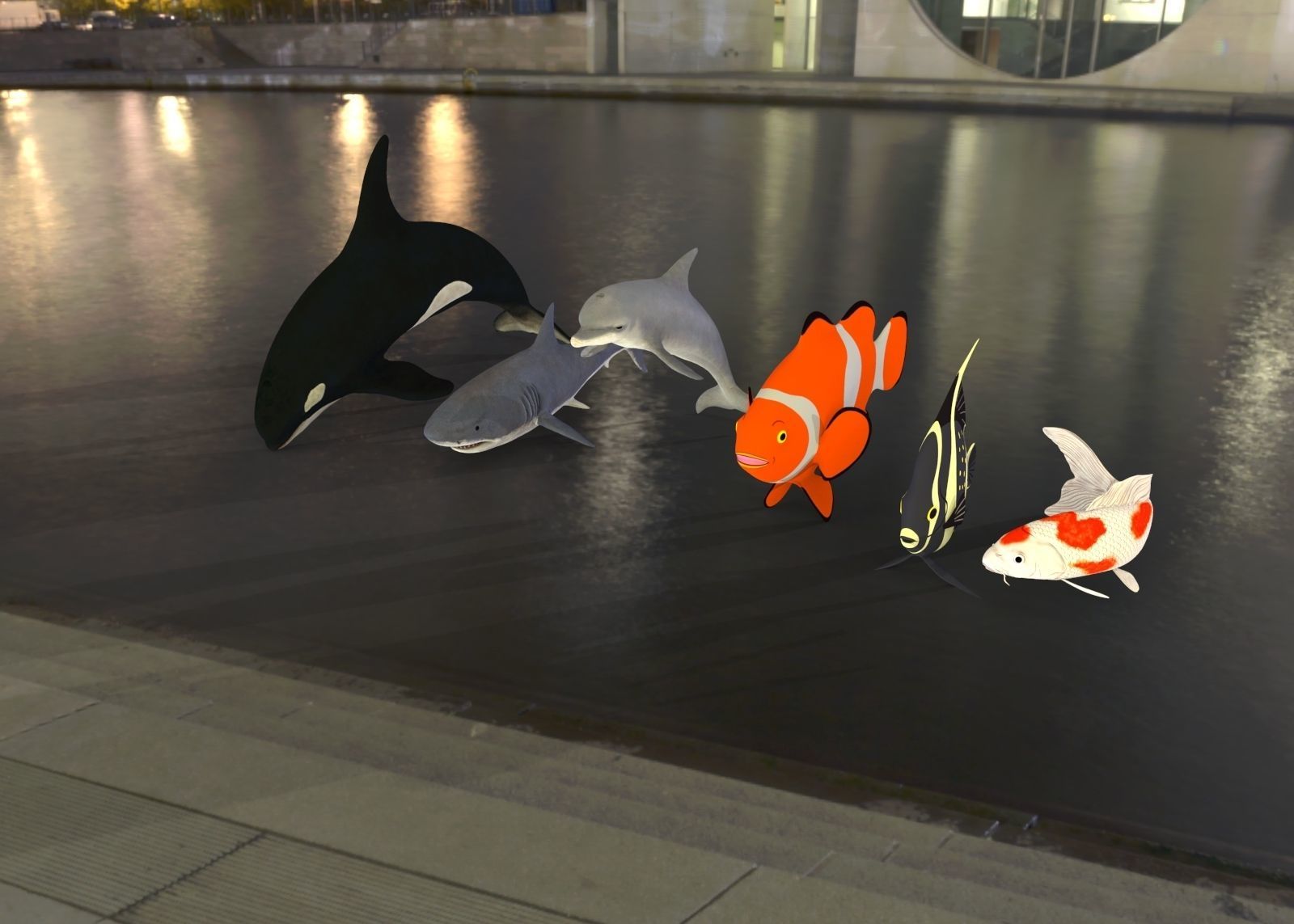 Fish shark koi carp dolphin killer whale clown fish and angel  3D model_2