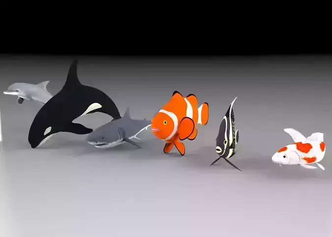 Fish shark koi carp dolphin killer whale clown fish and angel  3D model