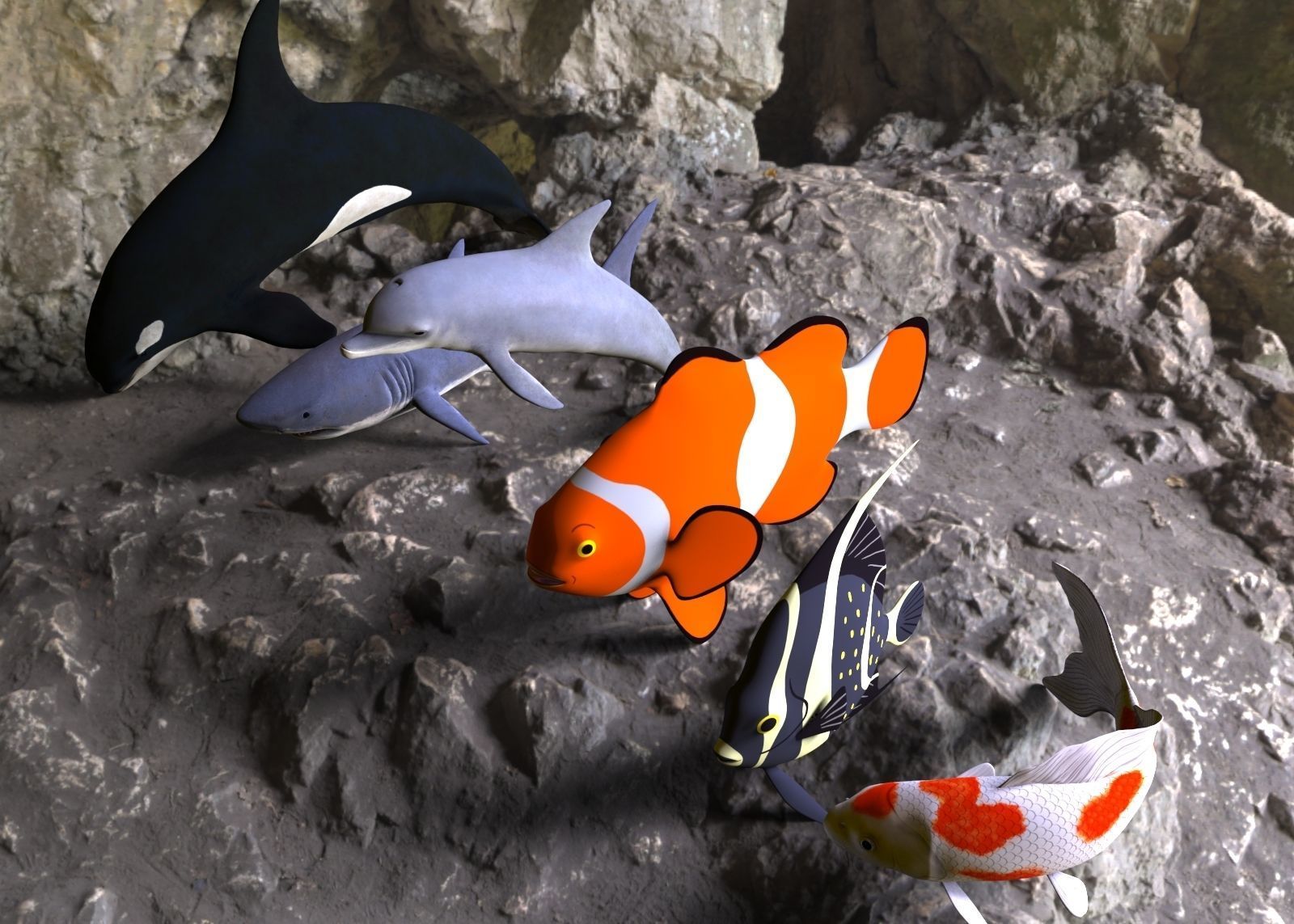 Fish shark koi carp dolphin killer whale clown fish and angel  3D model_1